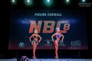 FIGURE OVERALL